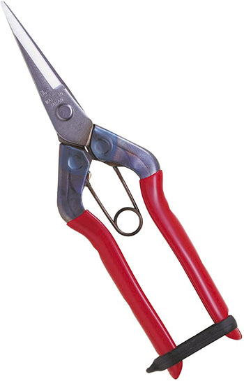 Chikamasa T-550